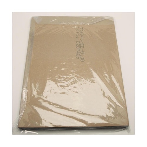 EE−1010 日東エプトシーラー 2