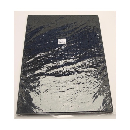 EE−1010 日東エプトシーラー 2