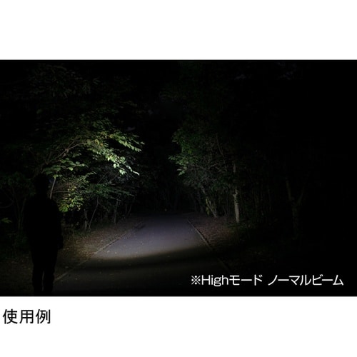 ヘッドライト GAIN TECHシリーズ