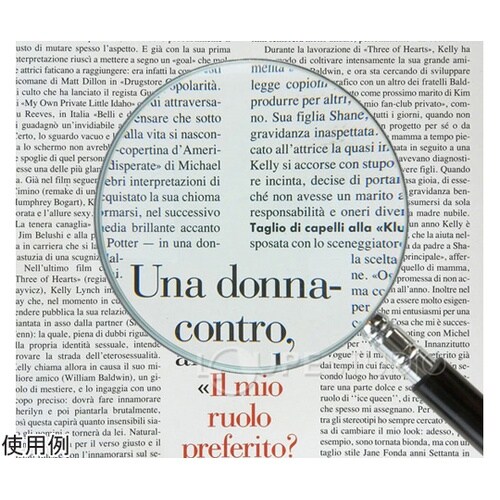 エボ柄ルーペ 2倍 100mm ガラスレ