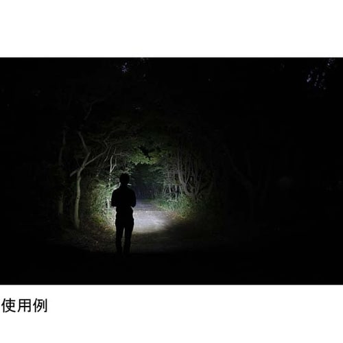 充電式LEDライト RX−286R