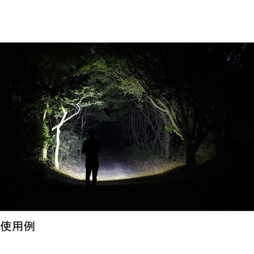 充電式LEDライト RX−286R