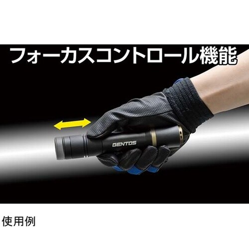 REXEEDシリーズ LEDフラッシュラ