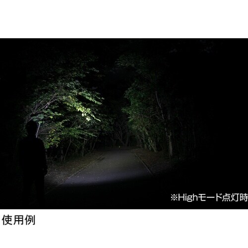 ヘッドライト GAIN TECHシリーズ