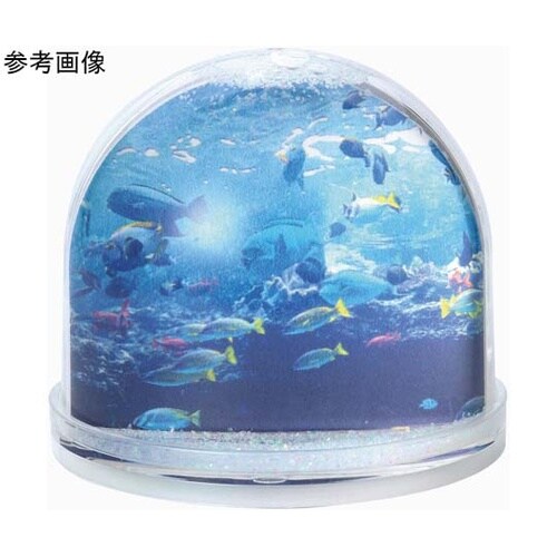 フォトスノードーム 58427