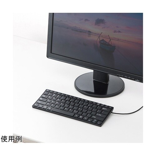 英語配列USBスリムキーボード SKB−