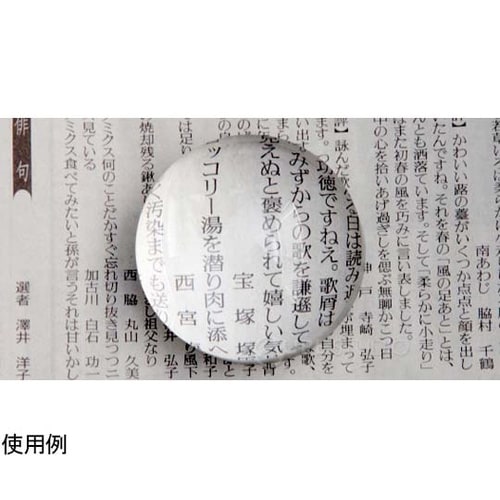 ペーパーウェイト 文鎮 ルーペ 5倍 6