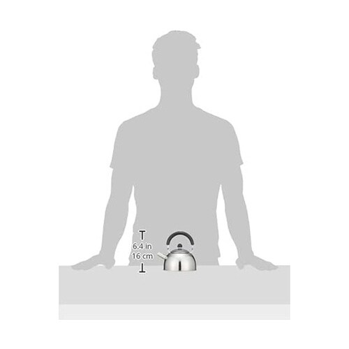 煎紗 ミニケトル 0.7L 茶こしアミ付