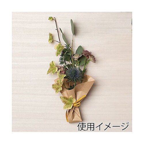 スナック三角袋 12−13 未晒無地 1