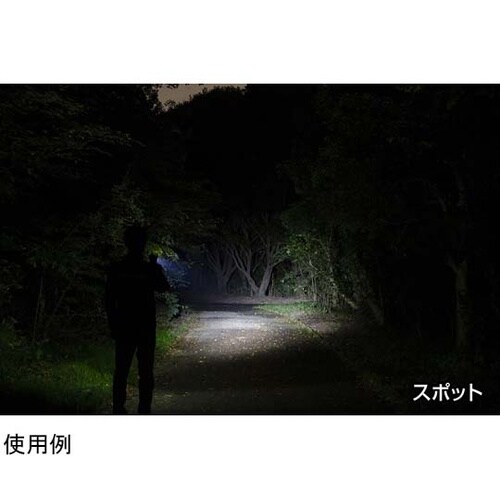 REXEEDシリーズ LEDフラッシュラ