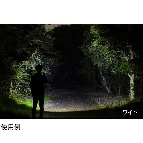 REXEEDシリーズ LEDフラッシュラ