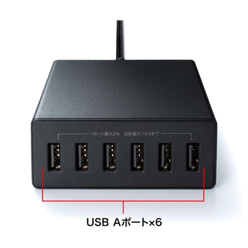 USB充電器(6ポート・合計12A・ブラ