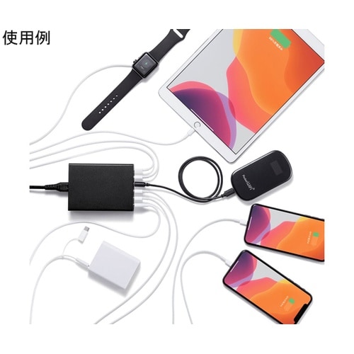 USB充電器(6ポート・合計12A・ブラ