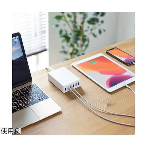 USB充電器(6ポート・合計12A・ホワ