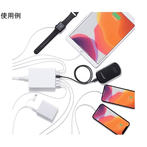 USB充電器(6ポート・合計12A・ホワ