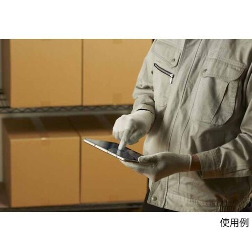 A0170簡易包装制電ラインパーム手袋L