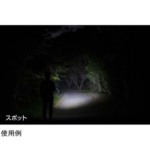 REXEEDシリーズ LEDフラッシュラ