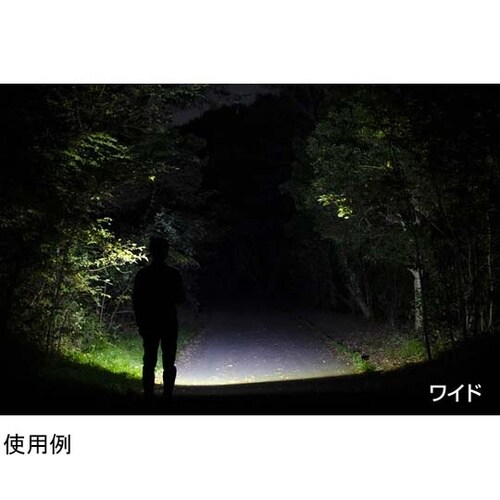 REXEEDシリーズ LEDフラッシュラ