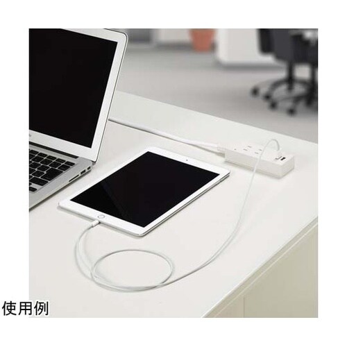 雷ガード付両挿しUSBタップ2個口 1m