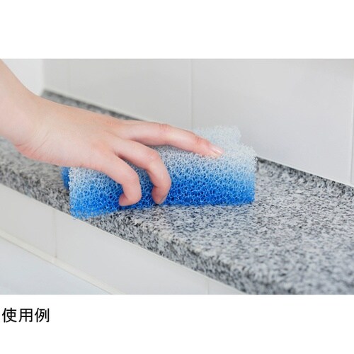 激キレ バススポンジ 1パック(10個入