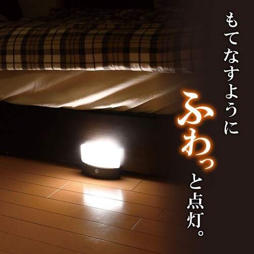 もてなしライト HLH−2201