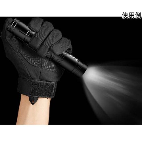 フラッシュライト L50C