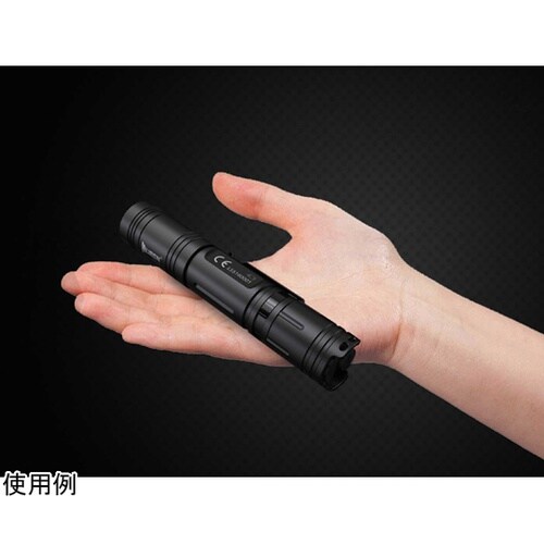 フラッシュライト L50C