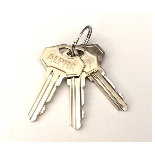 ステンレス南京錠(カギ違い) No.N2