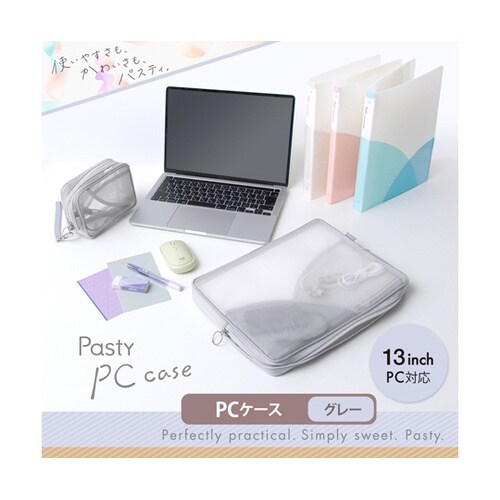 Pasty PCケース グレー 9866