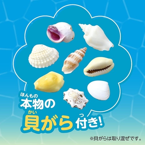 ジェルキャンドルでつくる 手作り海キャン