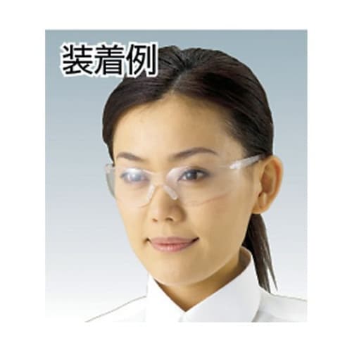 TRS980 一眼セーフティグラスクリア