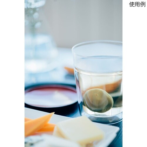 TRG−260 ツインロックグラス260