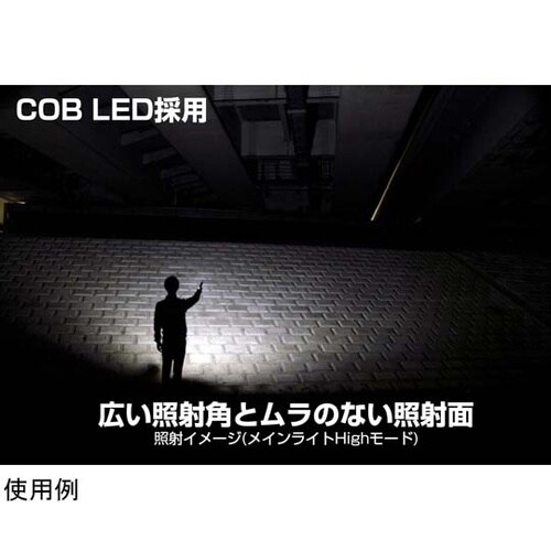 Ganz 薄型ヘッド作業灯 USB充電式