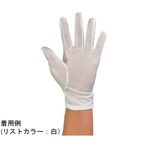 防塵手袋 オメガカット M 1袋(10双