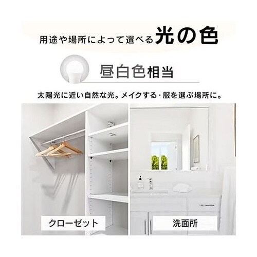 AC100V/11.8W/E26 電球/