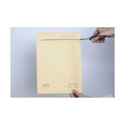 17111 ジャストサイズハサミL