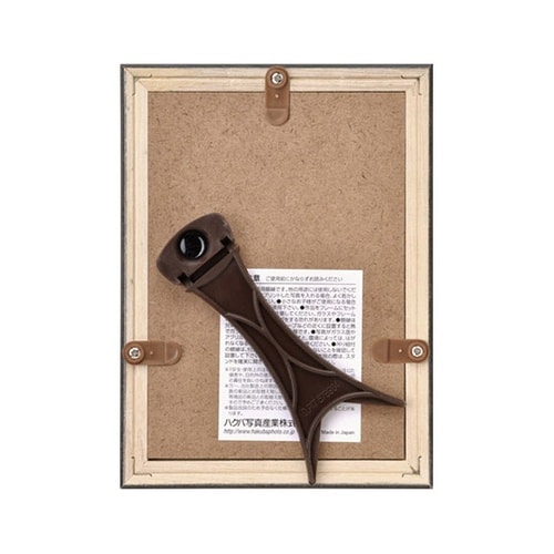 FWIY−L 肖像額縁 入山 L判サイズ