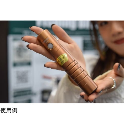 アニサキスライト YF−990