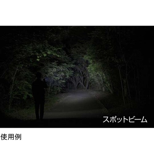 LEDハンディライト 閃シリーズ(吊り下