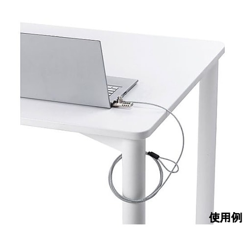 φ4.4mmx2m セキュリティワイヤー