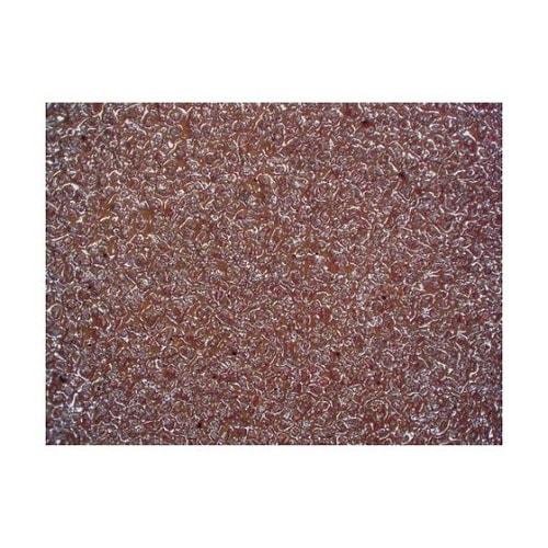 TSB10400 スモールベルト 50本