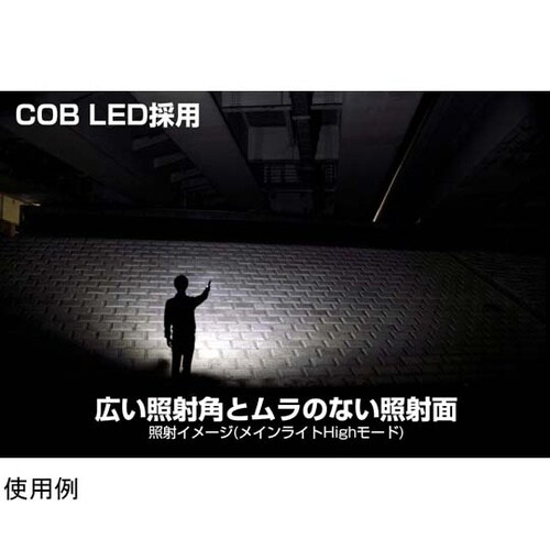 Ganz ハンディワークライト USB充