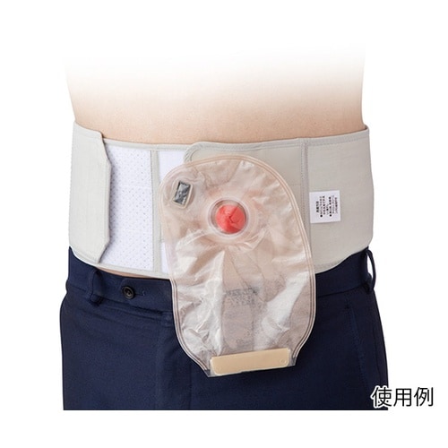 20911 パラストーマベルト S