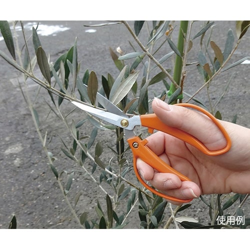 2010690コンパクトハンドル刃長木鋏