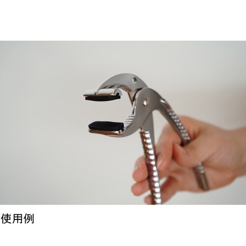 味覚探訪 韓国 やっとこ RE−7462