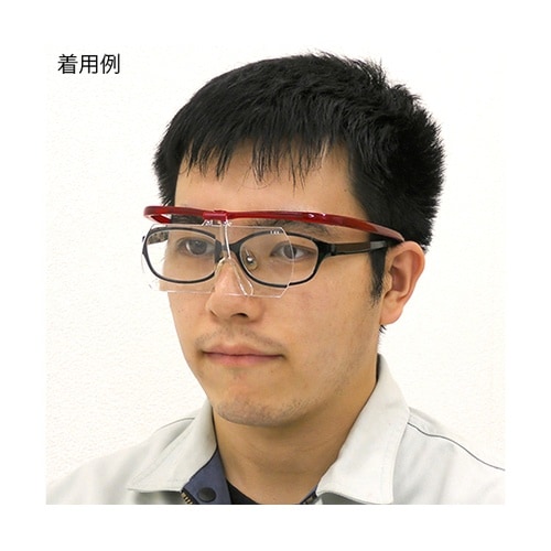 SL−100 メガネルーペ