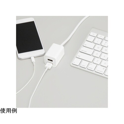 H72022UWH USBタップ