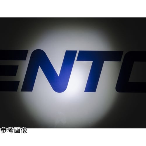 シンプルヘッドライト GTR−S31D