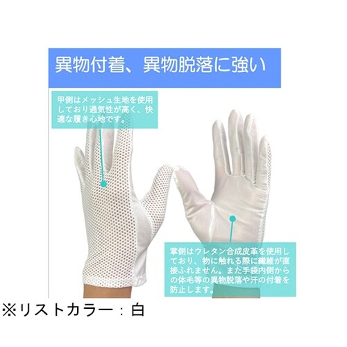 防塵手袋 M 1袋(12双入) G204