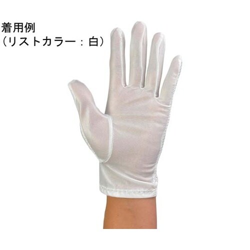 防塵手袋 M 1袋(12双入) G204